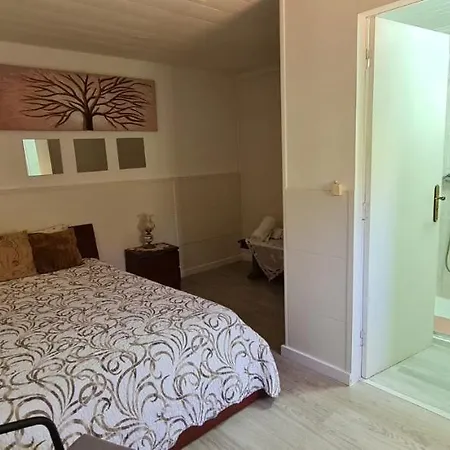 Casa Ribeirinho No Coracao Da Natureza Affittacamere