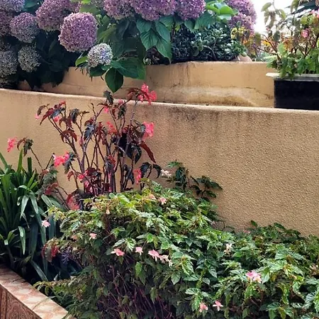 Casa Ribeirinho No Coracao Da Natureza 4*