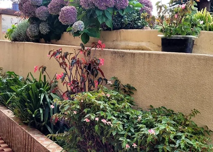 Casa Ribeirinho No Coracao Da Natureza 4*